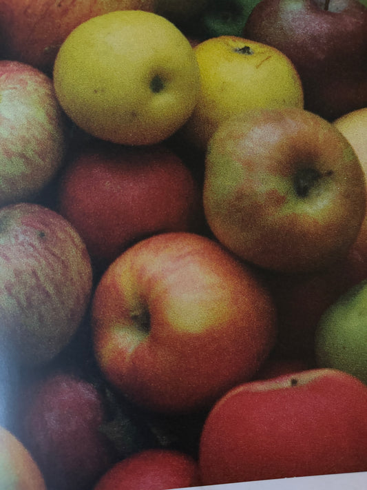 Apples: A Country Garden Cookbook - 1993-Red Barn Collections