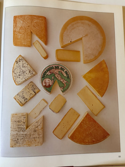 Cheese: A Guide to the World of Cheese and Cheesemaking - 1983-Red Barn Collections