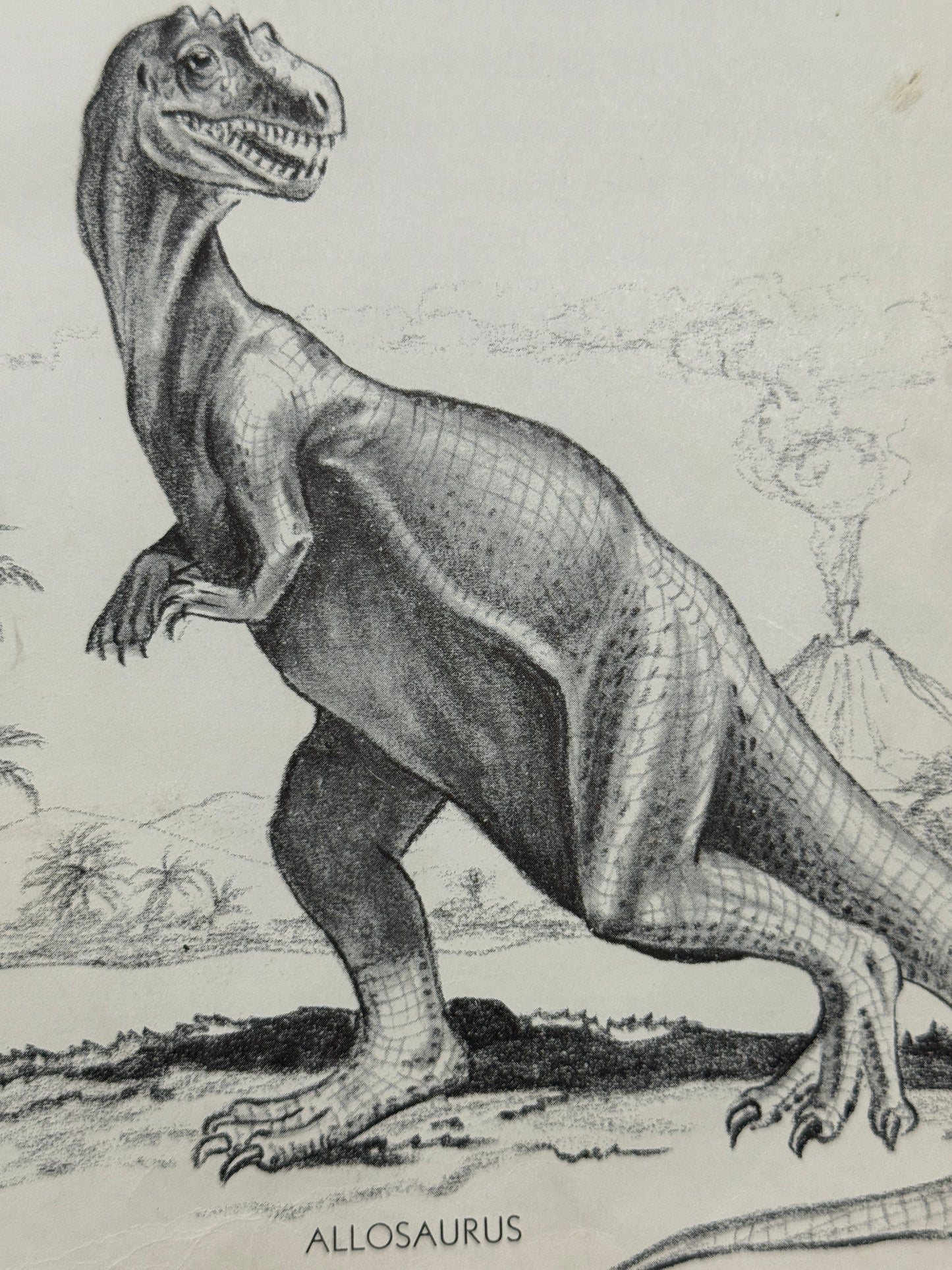 Discovering Dinosaurs (1960) – Handcrafted Book Journal-Red Barn Collections