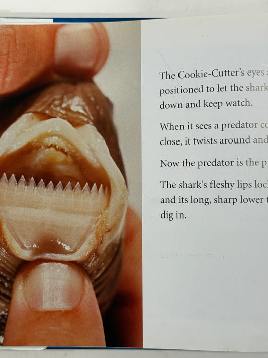 Sharks! Biggest! Littlest! - 2008-Red Barn Collections