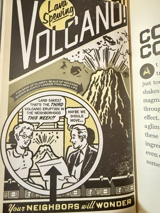 Totally Irresponsible Science — 2008 Upcycled Journal-Red Barn Collections