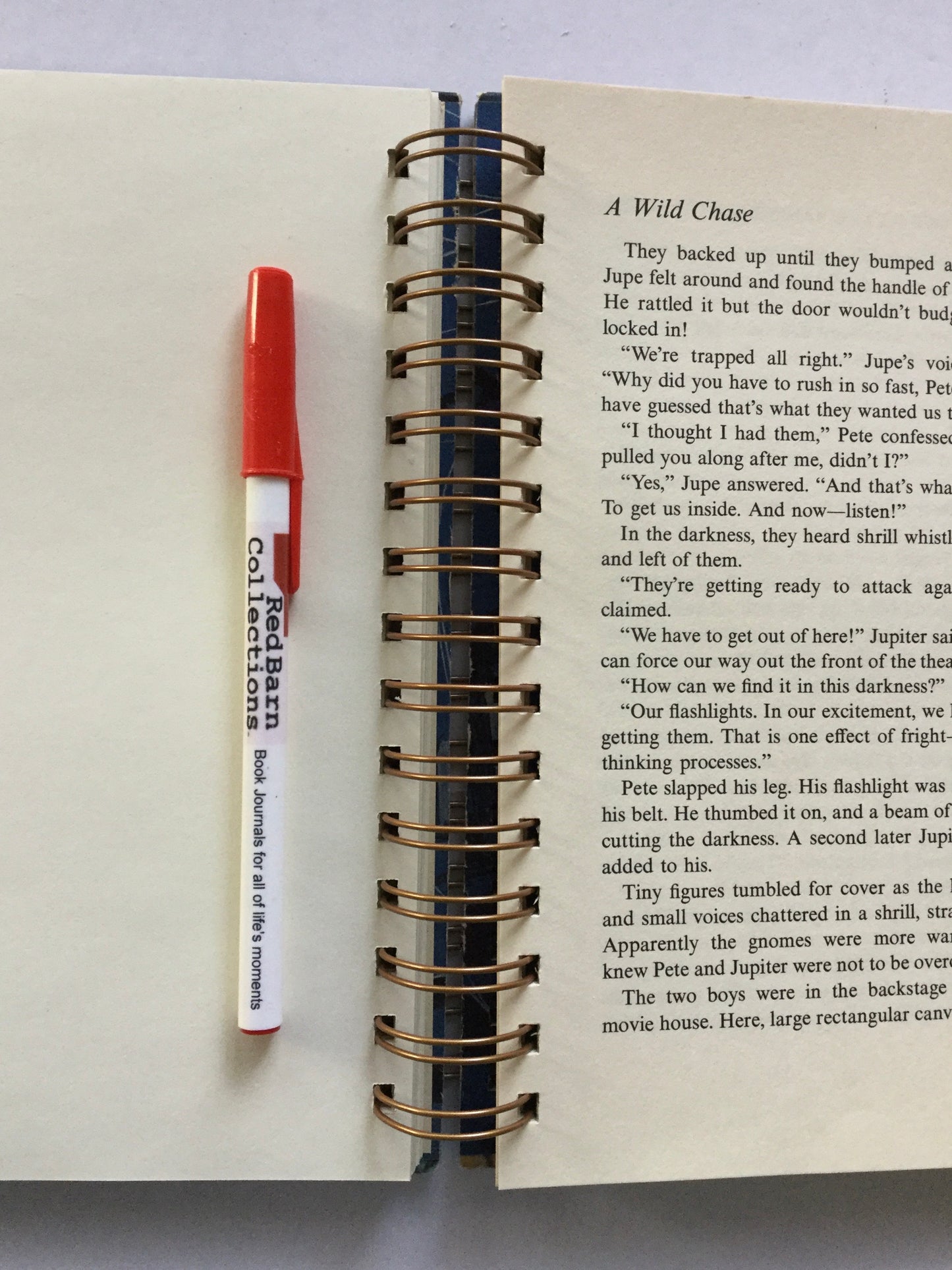 Three Investigators in The Mystery of the Vanishing Treasurel-Red Barn Collections