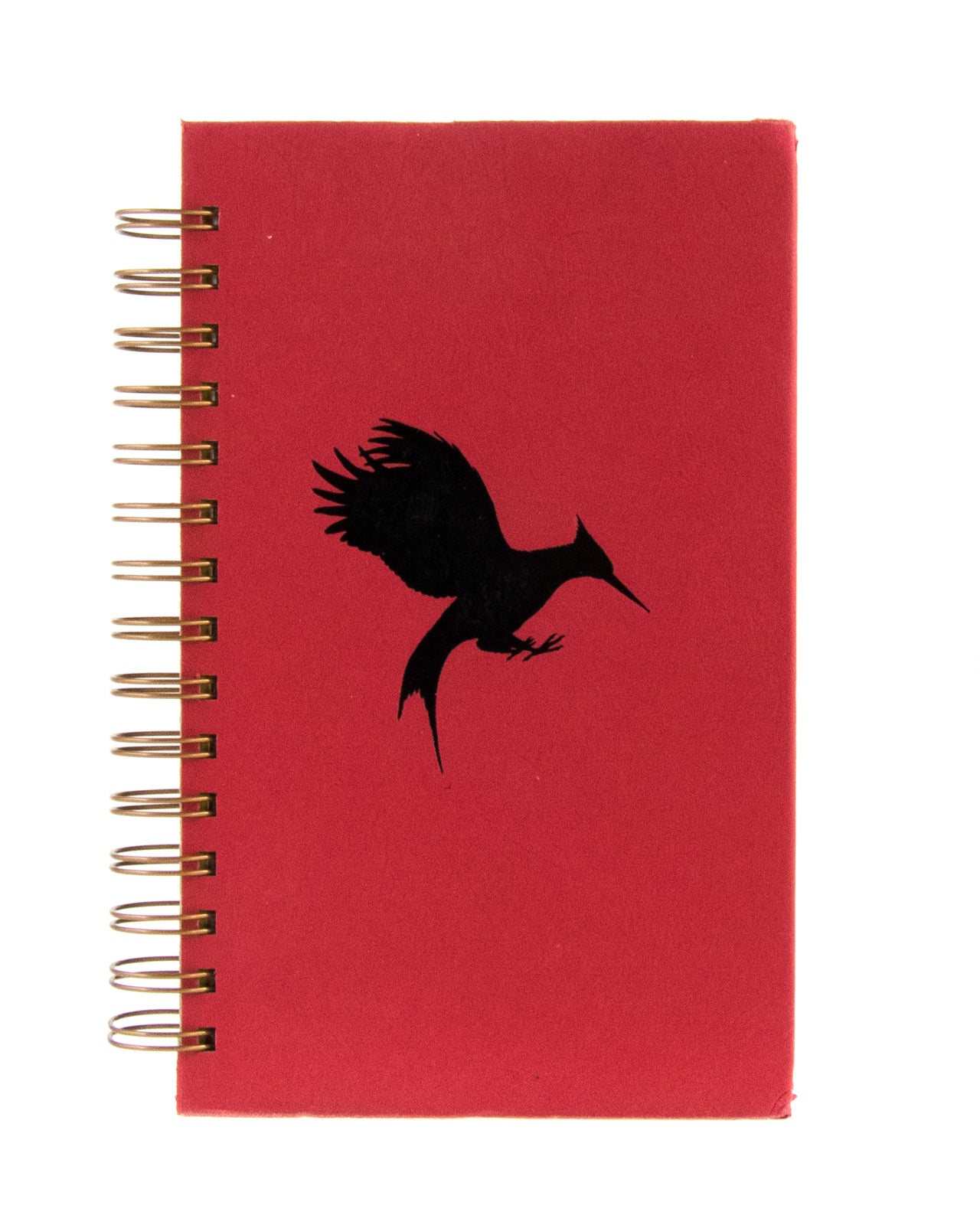 Catching Fire-Red Barn Collections