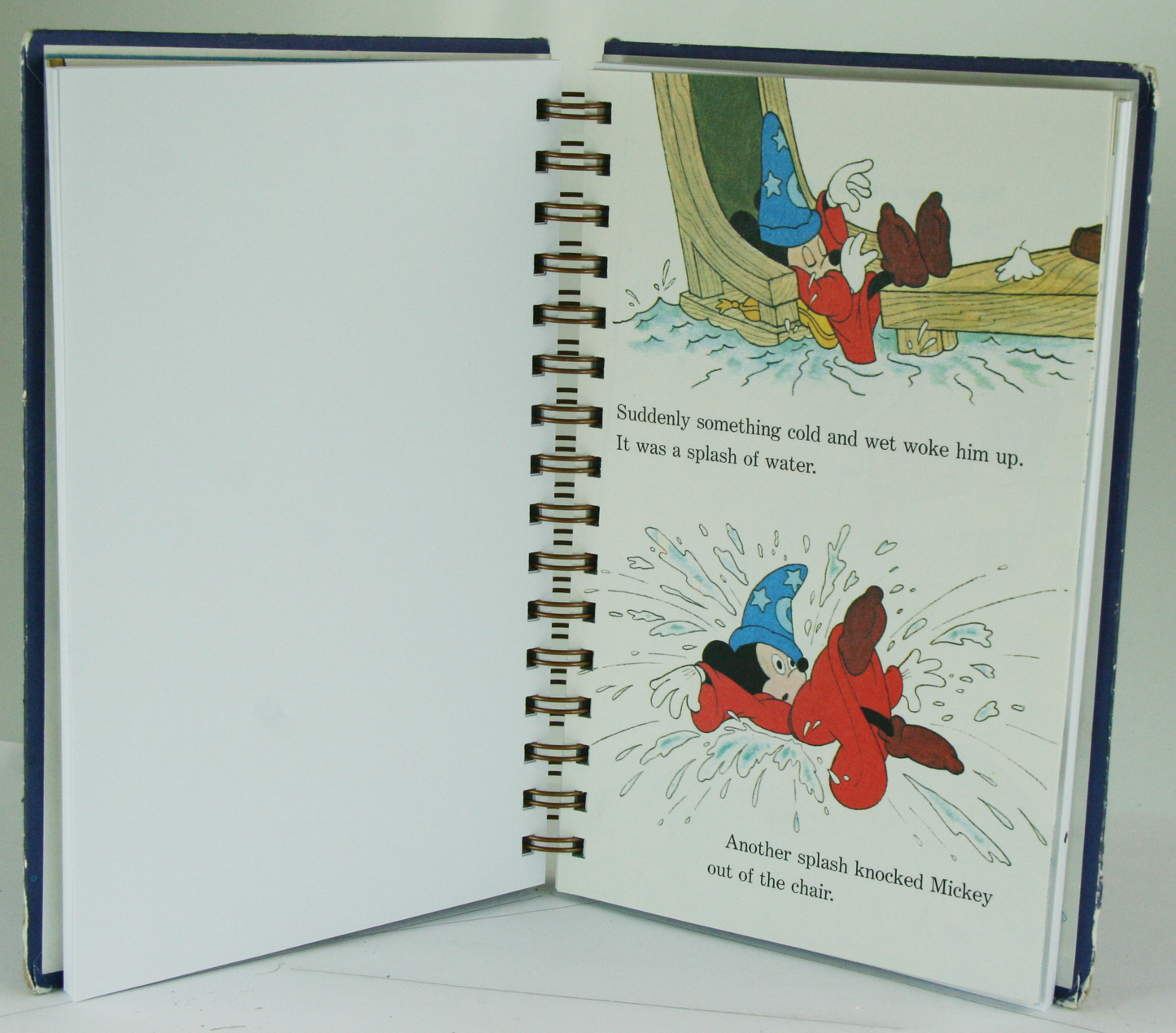 The Sorcerer's Apprentice Vintage-Red Barn Collections