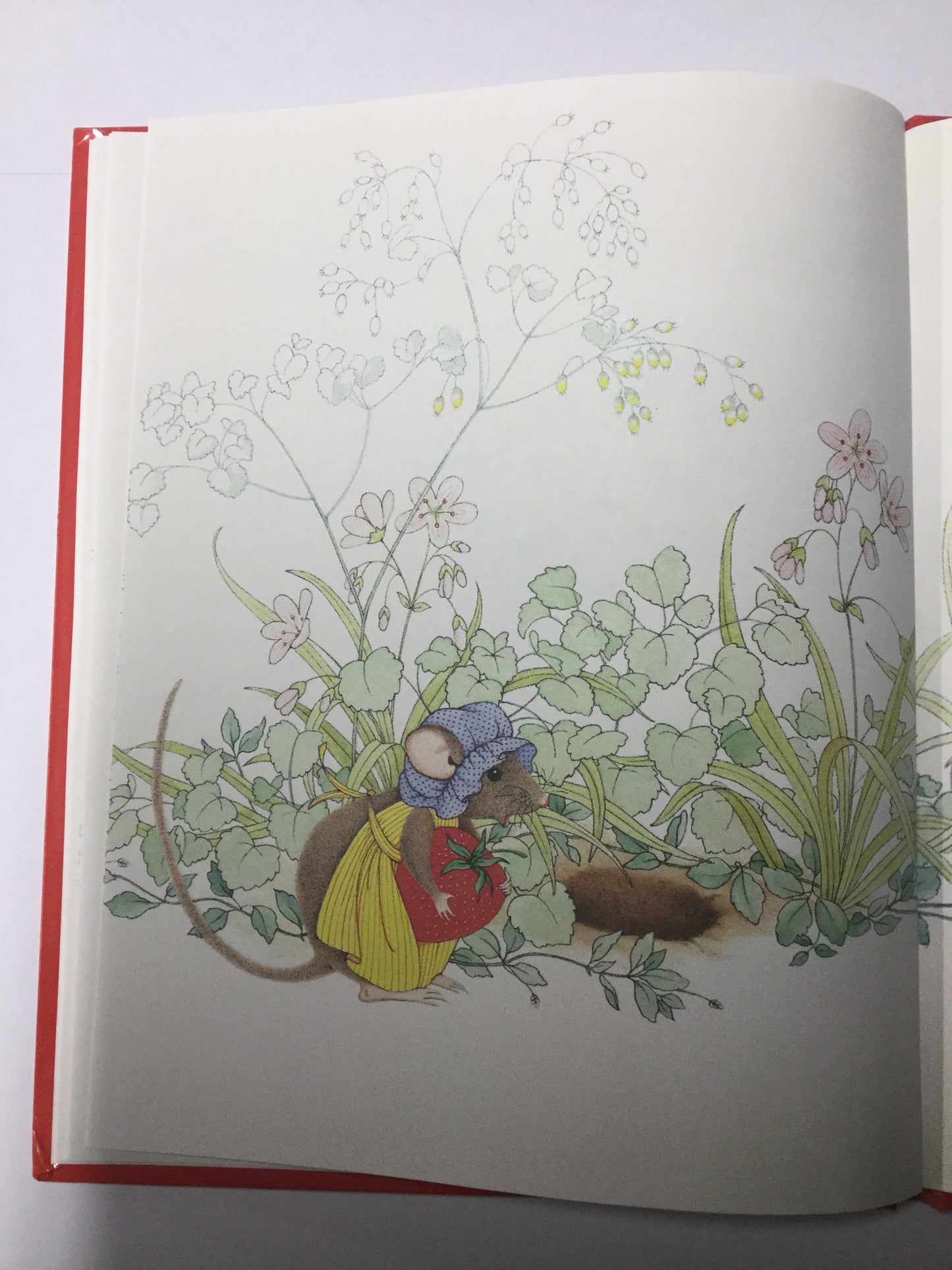 Mother's Mother's Day-Red Barn Collections
