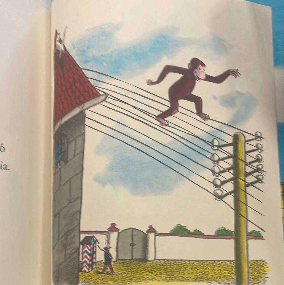 Curious George (Spanish)-Red Barn Collections
