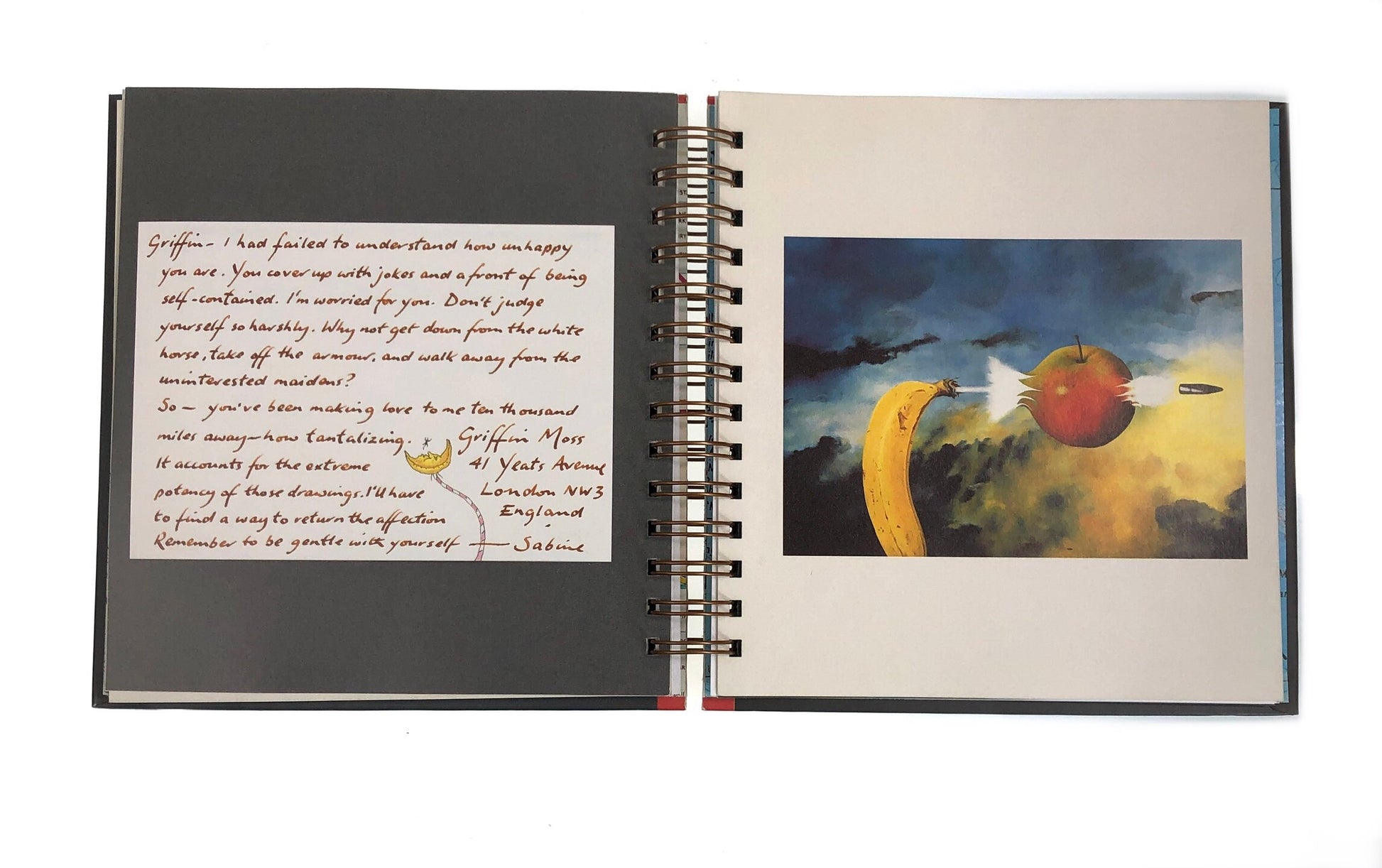 Griffin & Sabine An Extraordinary Correspondence Journals-Red Barn Collections