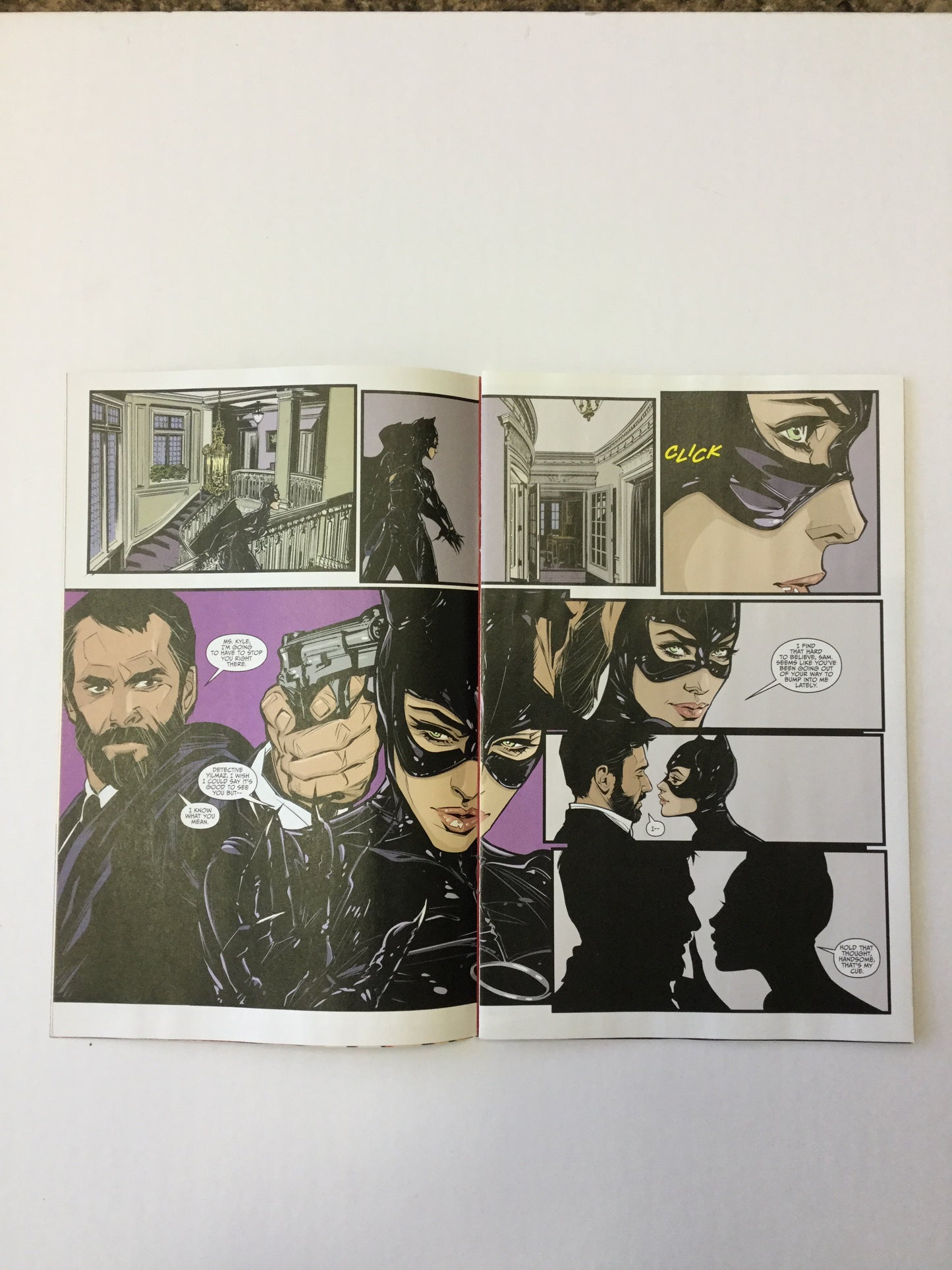 CatWoman 6 Comic Journal-Red Barn Collections