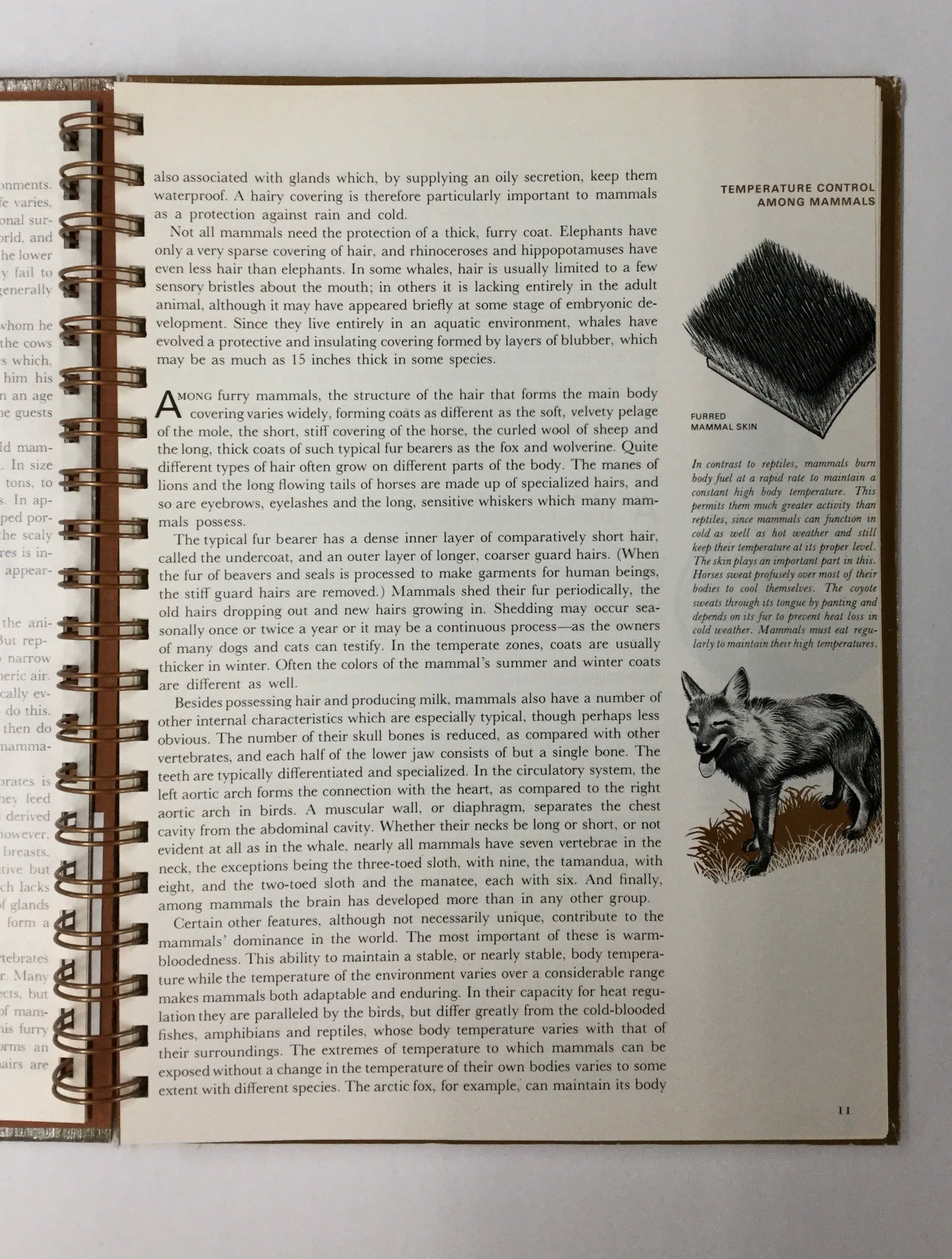 The Mammals: Time Life-Red Barn Collections