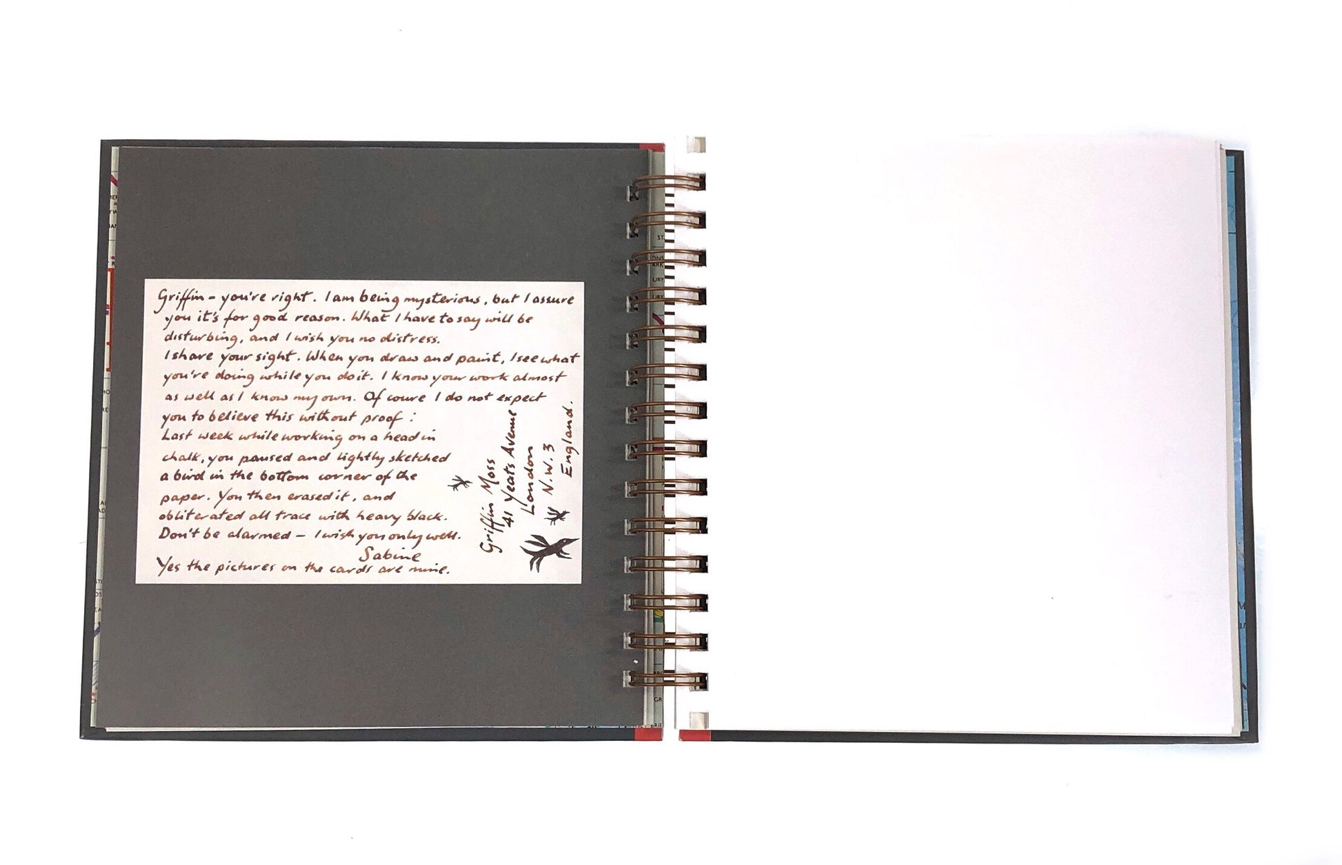 Griffin & Sabine An Extraordinary Correspondence Journals-Red Barn Collections