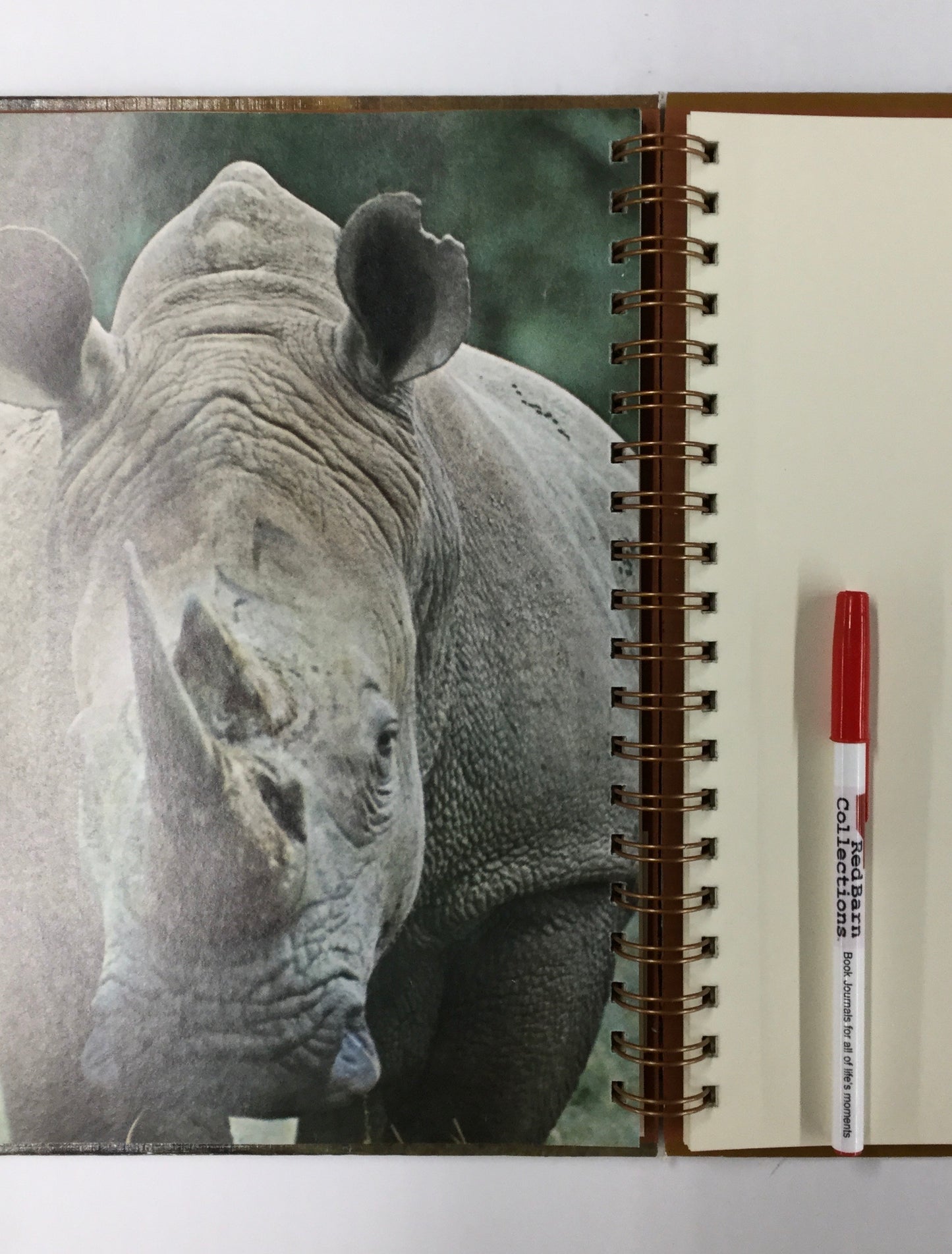 The Mammals: Time Life-Red Barn Collections