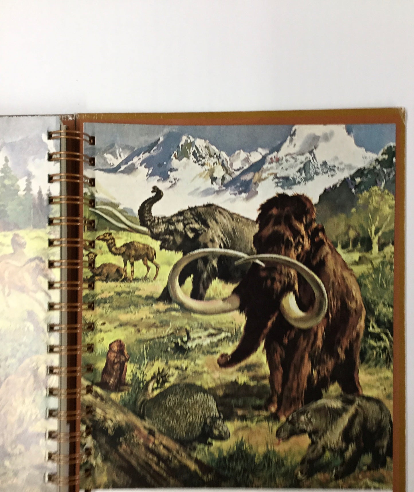 The Mammals: Time Life-Red Barn Collections
