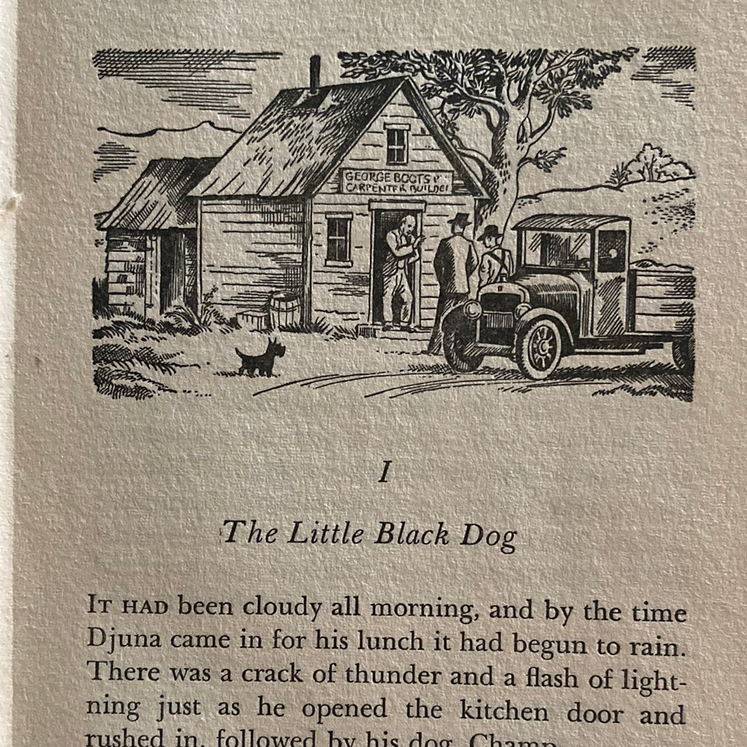 Black Dog Mystery-Red Barn Collections