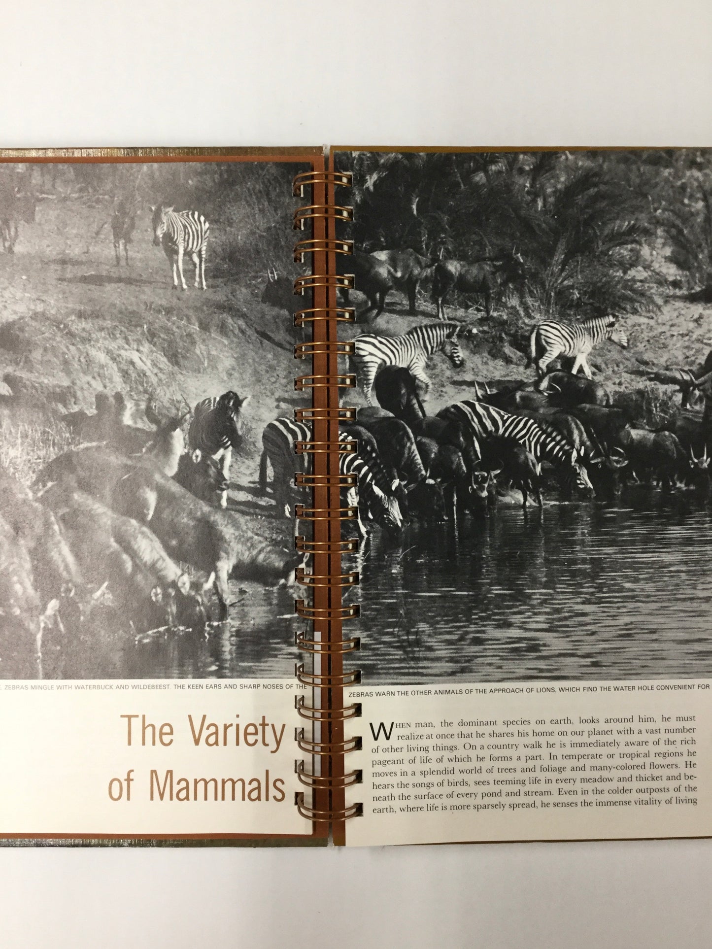 The Mammals: Time Life-Red Barn Collections