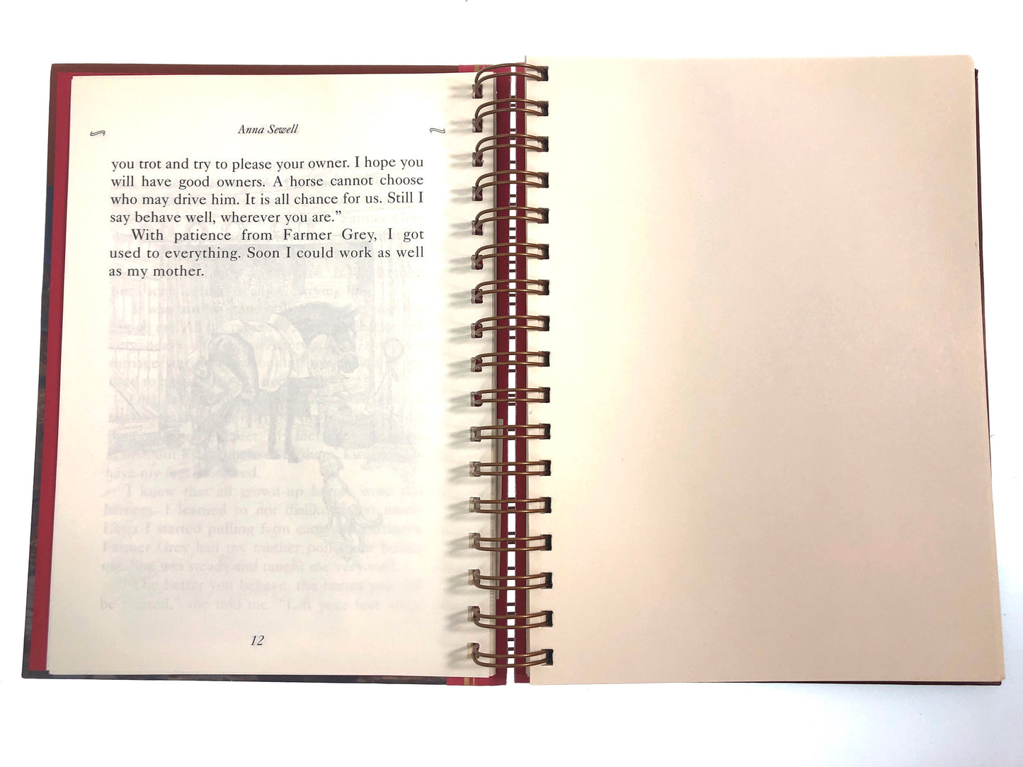 Black Beauty Sketchbook-Red Barn Collections