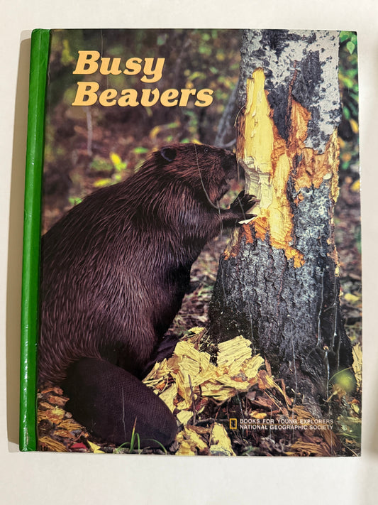 Busy Beavers-Red Barn Collections