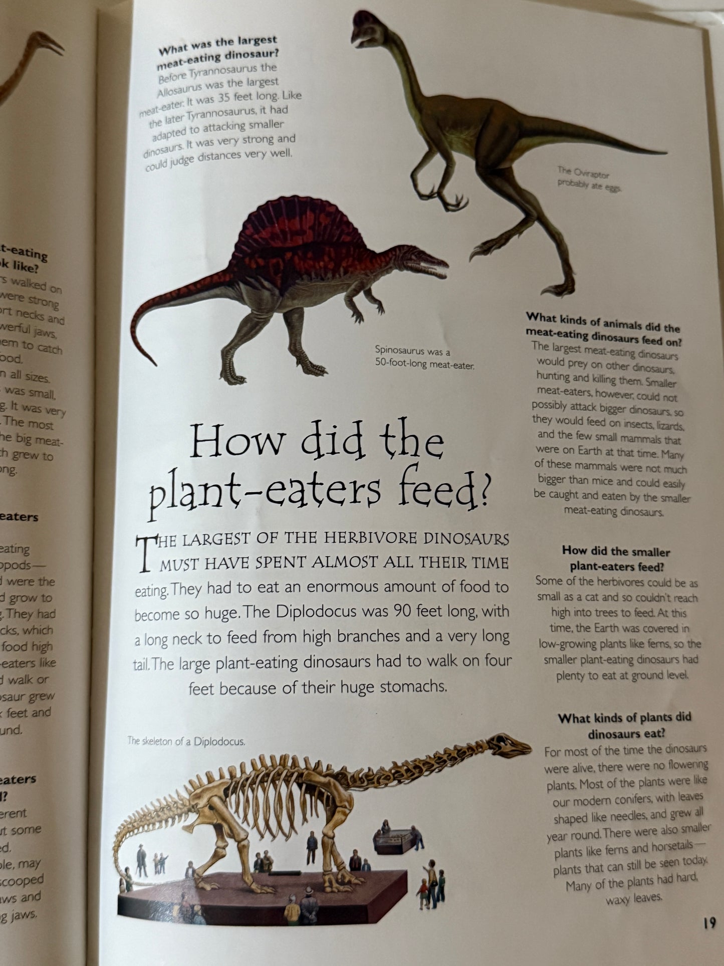 Dinosaurs Question and Answer Book Journal 2000-Red Barn Collections