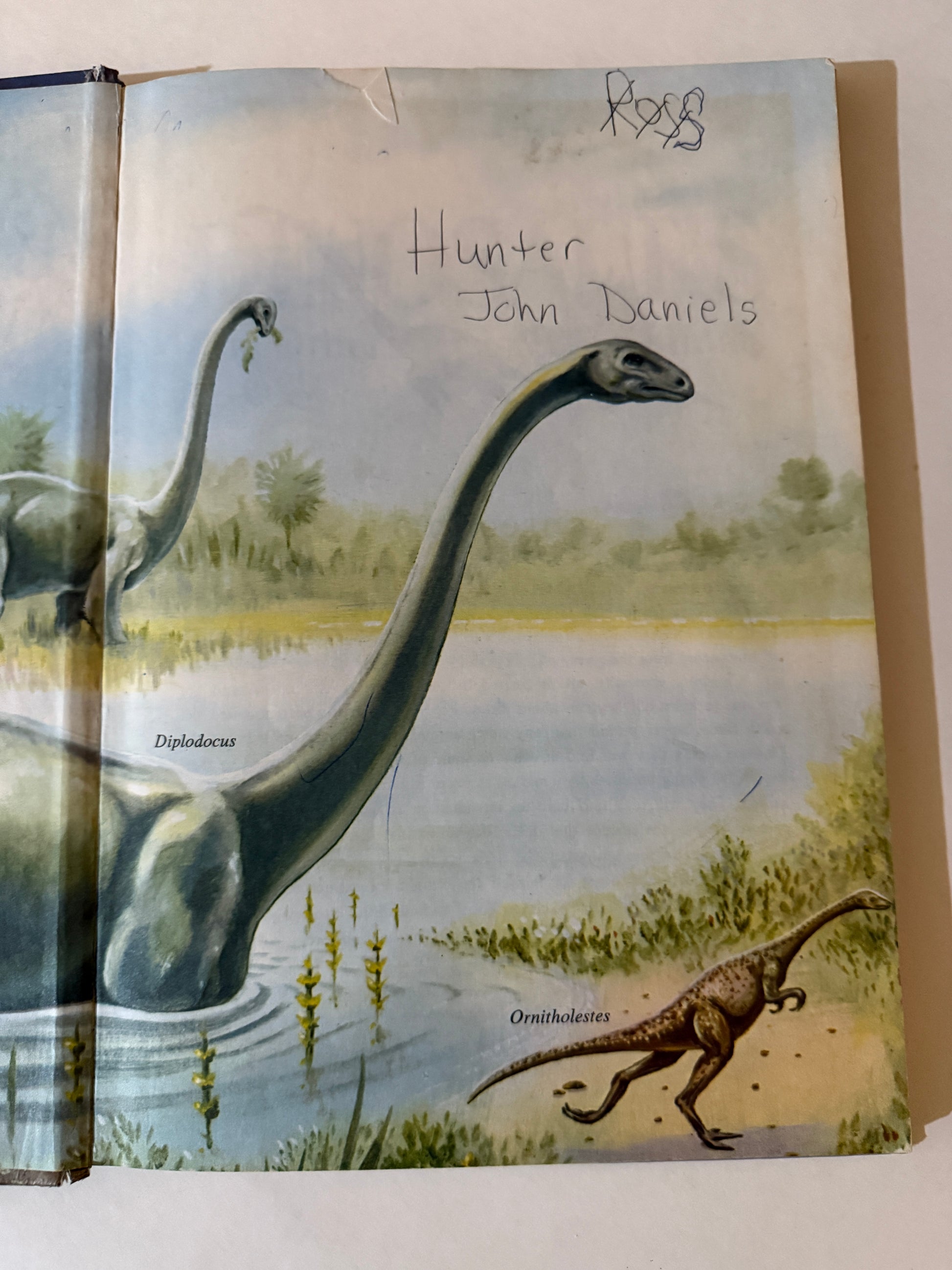 Dinosaurs and Other Prehistoric Animals (1989) – Handcrafted Book Journal-Red Barn Collections