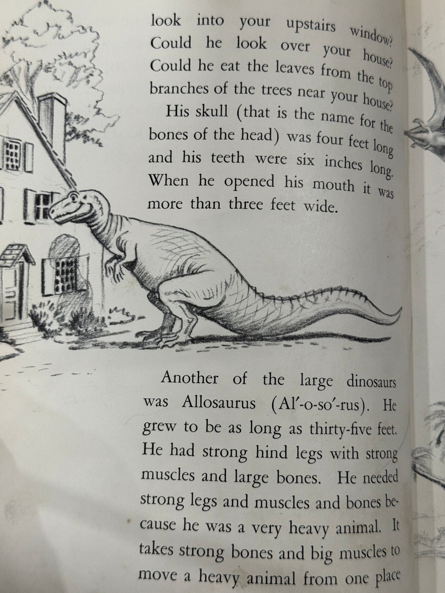 Discovering Dinosaurs (1960) – Handcrafted Book Journal-Red Barn Collections
