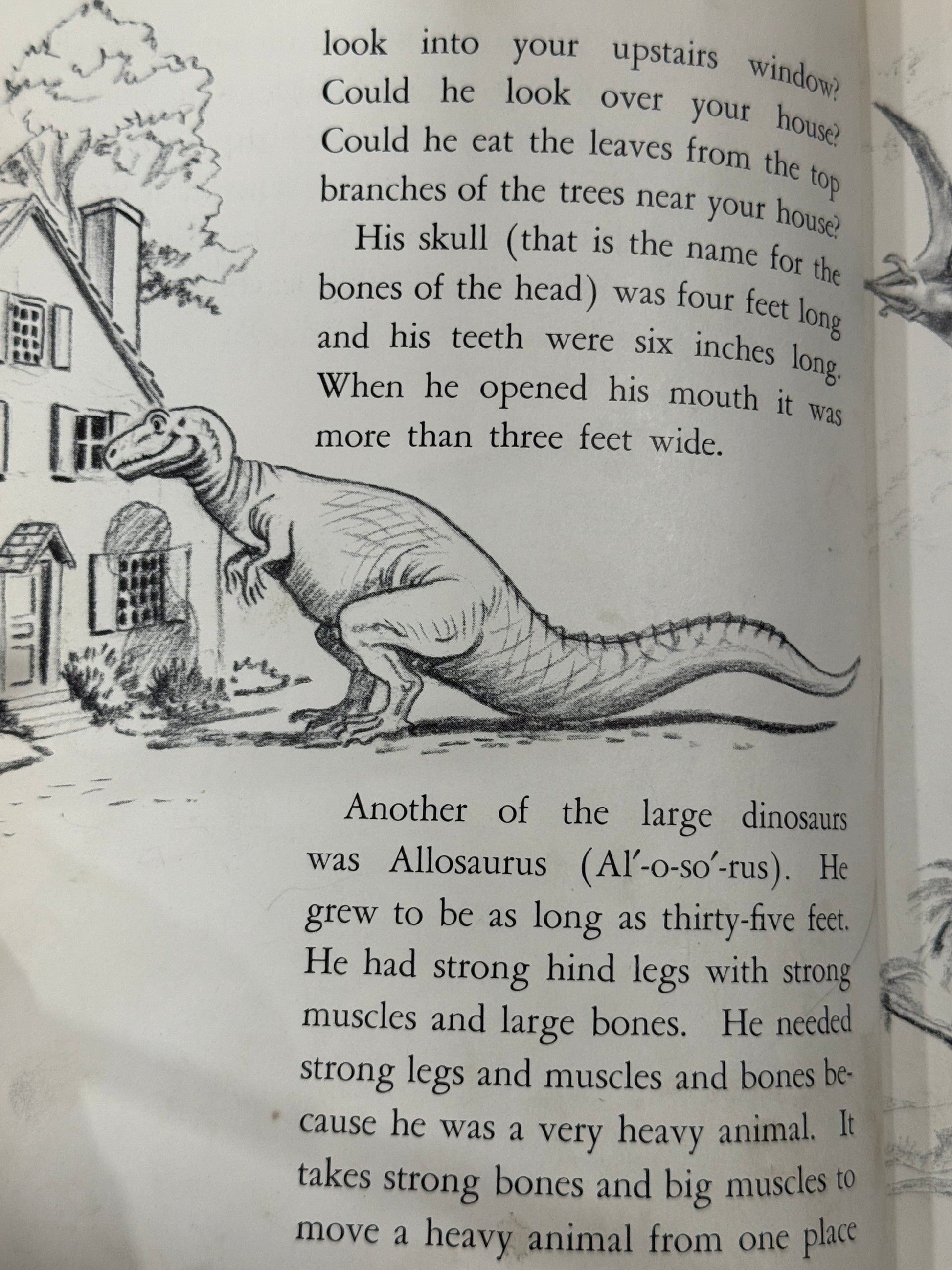 Discovering Dinosaurs (1960) – Handcrafted Book Journal-Red Barn Collections