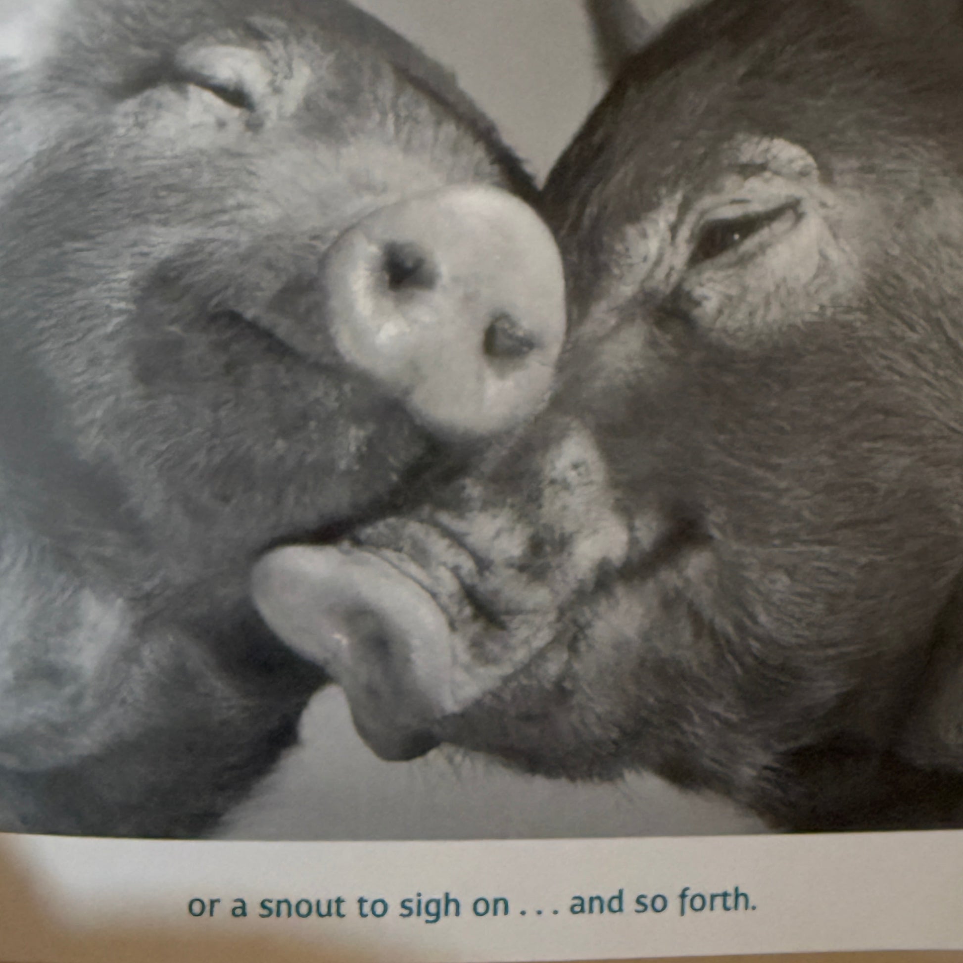 Friends to the End - 2004-Red Barn Collections