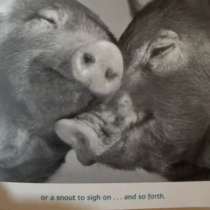 Friends to the End - 2004-Red Barn Collections