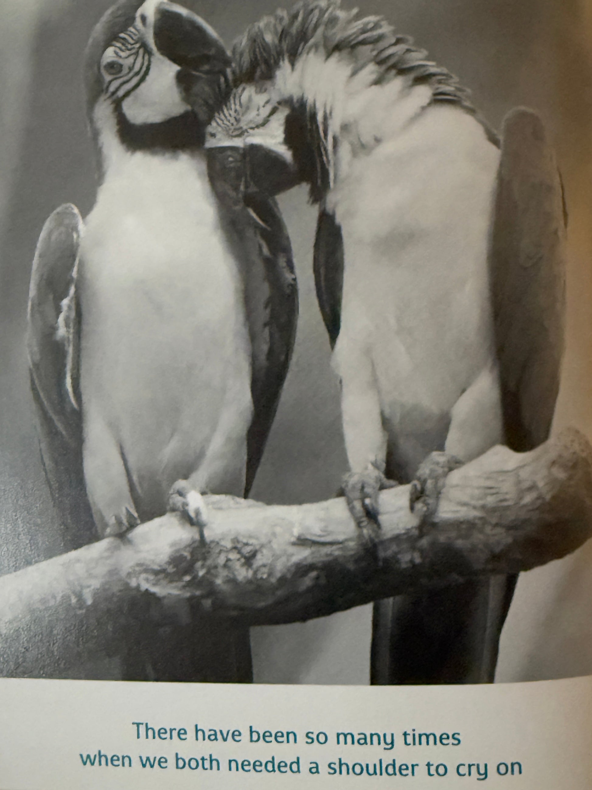 Friends to the End - 2004-Red Barn Collections