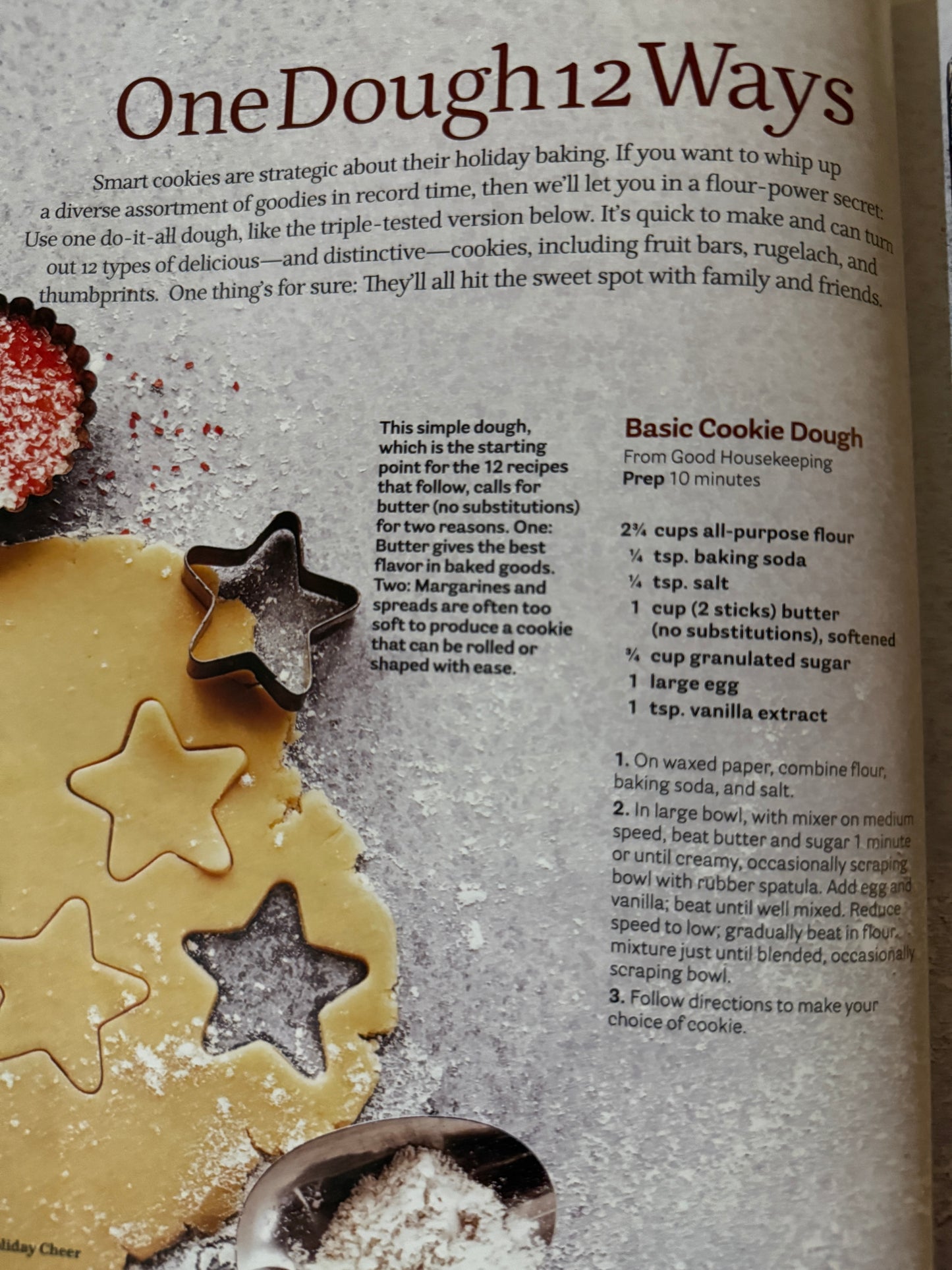 Holiday Cheer Festive Inspirations - 2010-Red Barn Collections