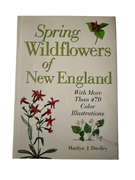 Spring Wildflowers of New England-Red Barn Collections