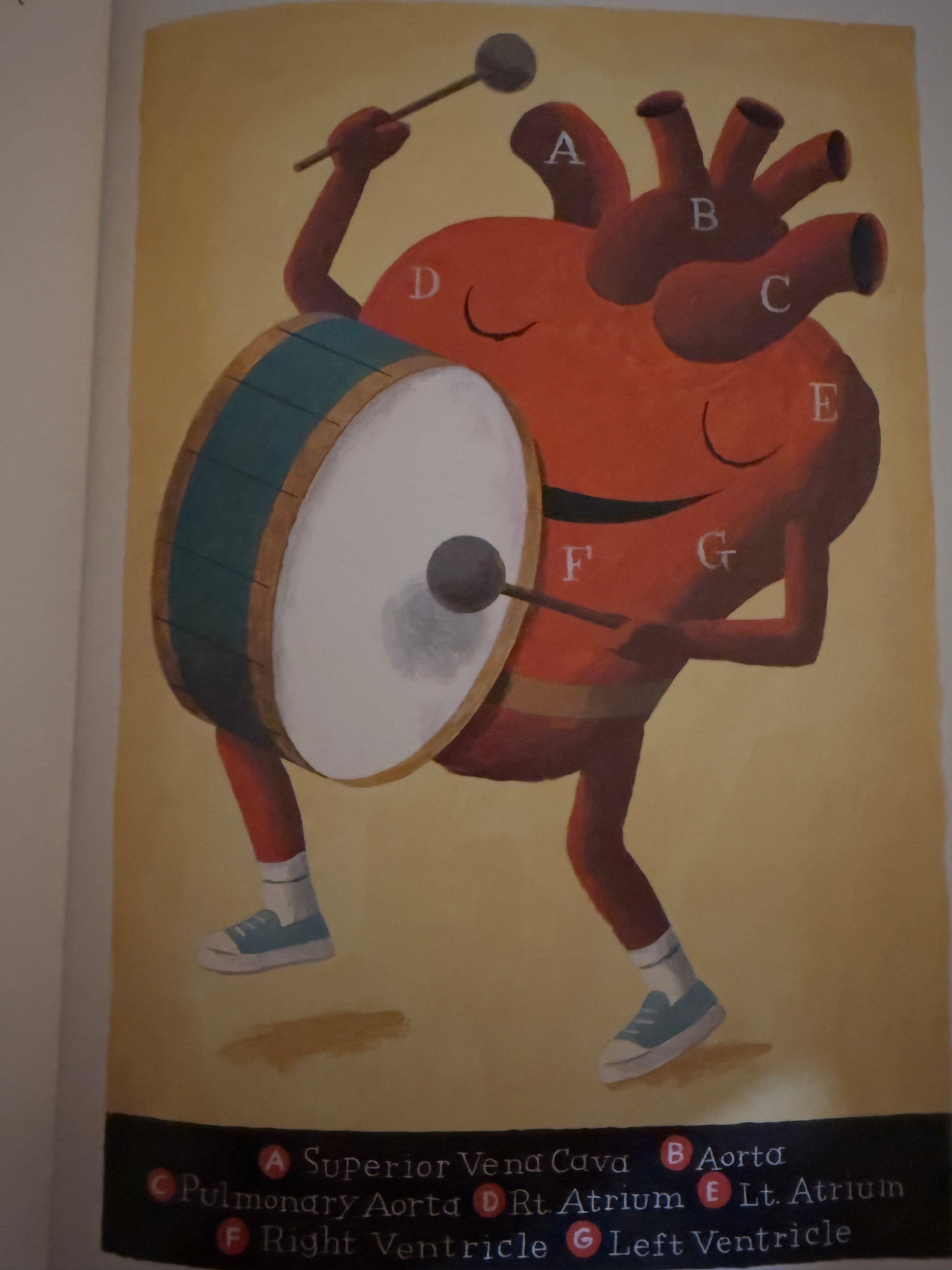 The Blood-Hungry Spleen and Other Poems About Our Parts-Red Barn Collections