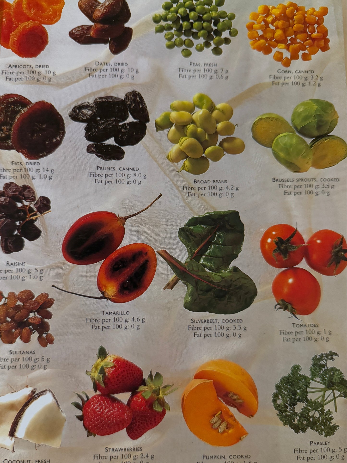 The Essential Vegetarian Cookbook Handcrafted Journal | 1997 Edition-Red Barn Collections