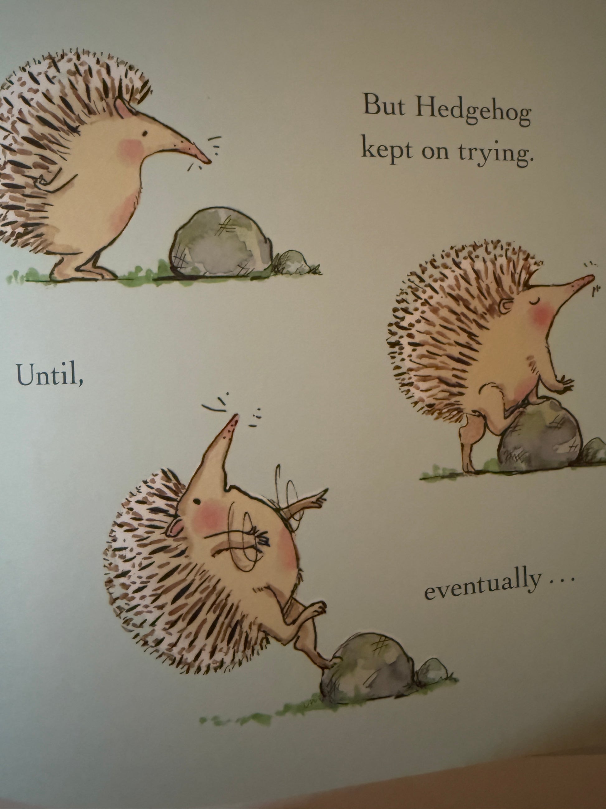 The Roar — 2022-Red Barn Collections