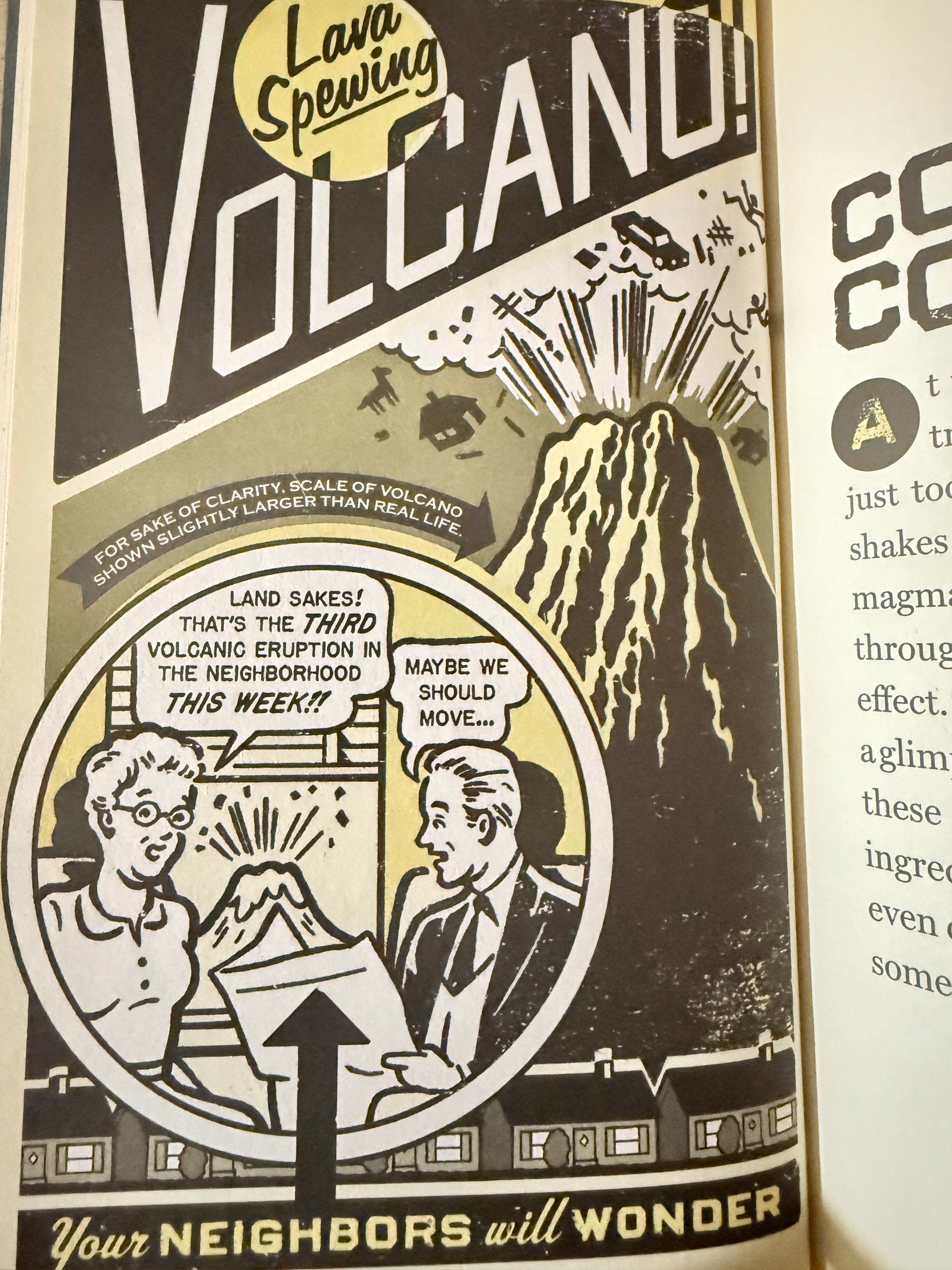 Totally Irresponsible Science — 2008 Upcycled Journal-Red Barn Collections