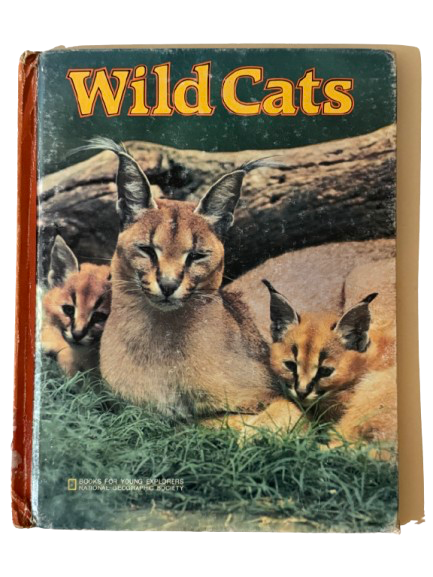 Wild Cats – 1981 Book Journal-Red Barn Collections