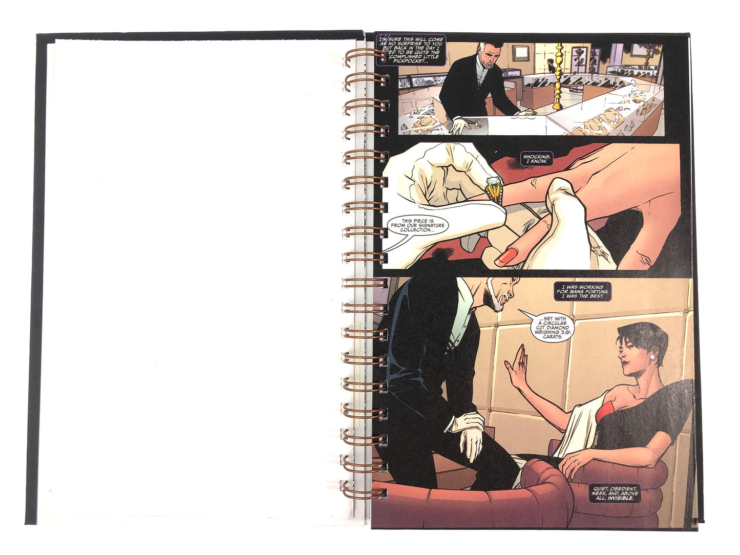 CatWoman 7 Comic Journal-Red Barn Collections