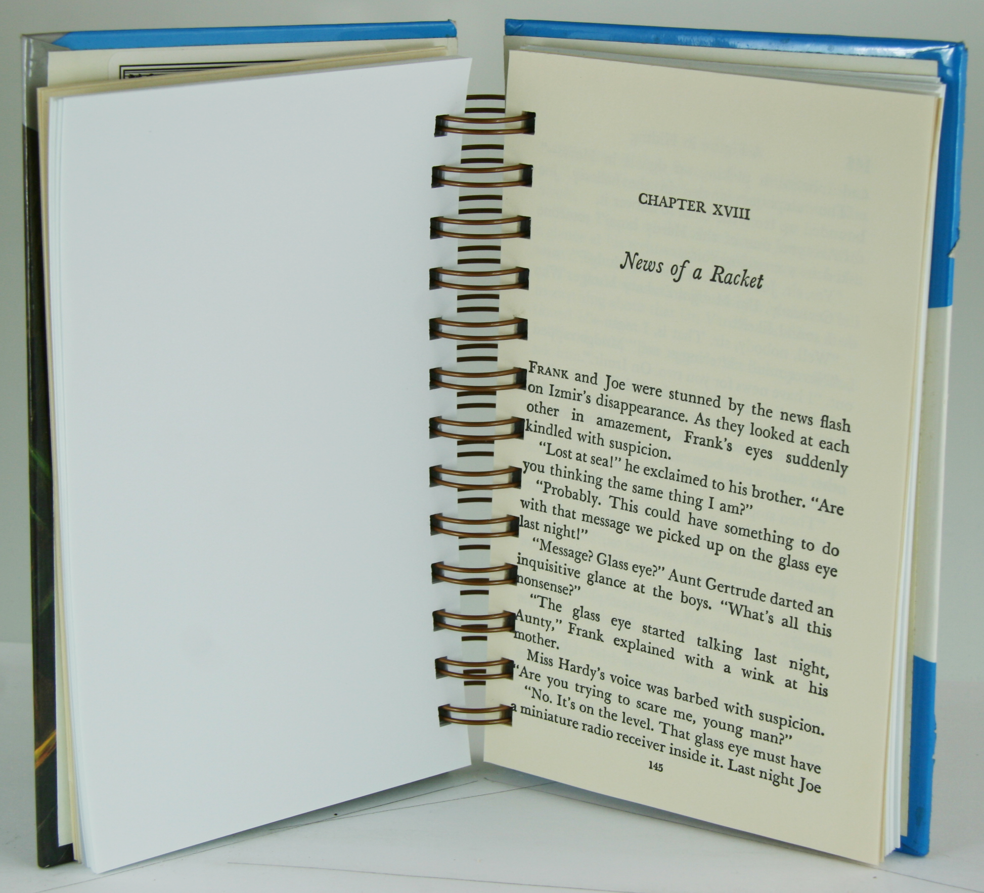 The Hardy Boys #16 - A Figure in Hiding (Copy)-Red Barn Collections