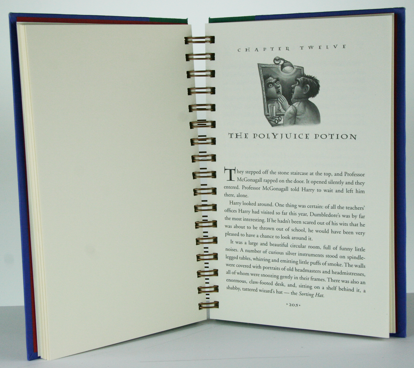 Harry Potter and the Chamber of Secrets-Red Barn Collections