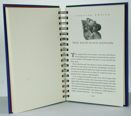 Harry Potter and the Chamber of Secrets-Red Barn Collections