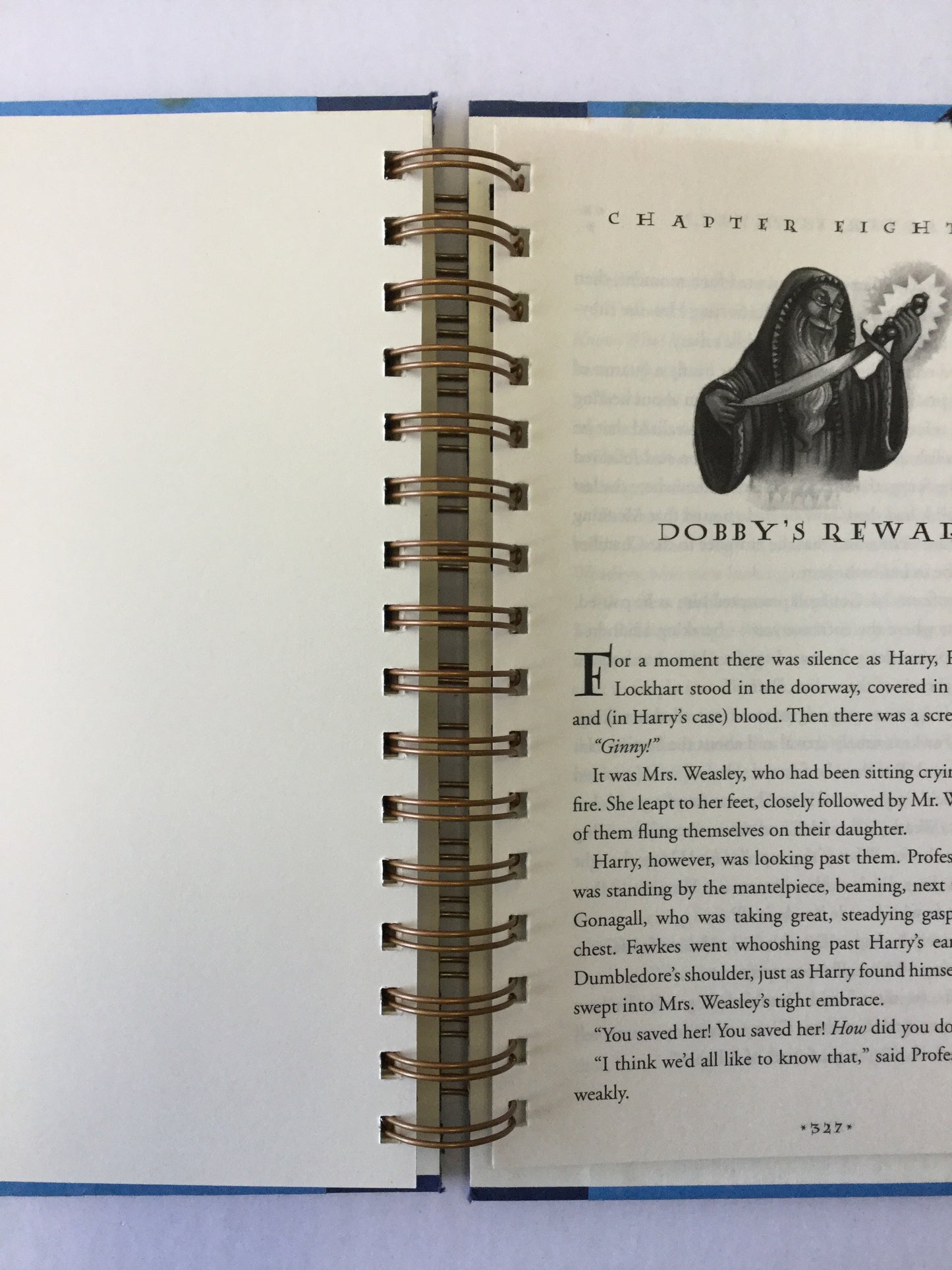 Harry Potter and the Chamber of Secrets-Red Barn Collections