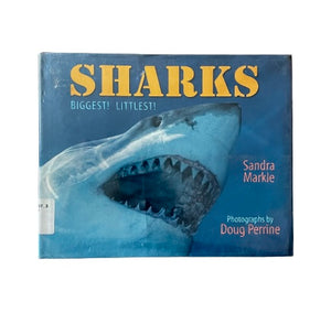 Sharks-Red Barn Collections