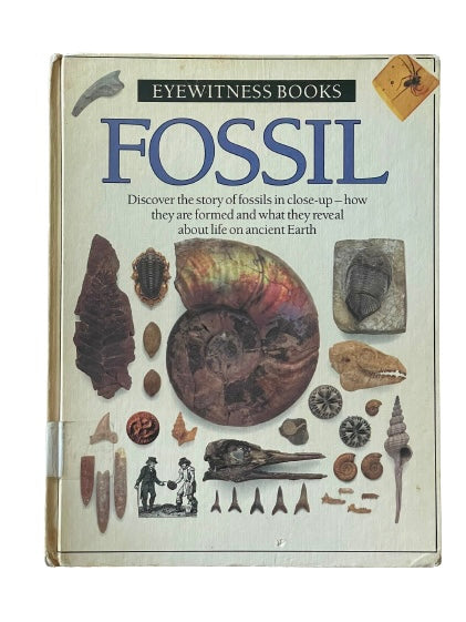 Fossil-Red Barn Collections