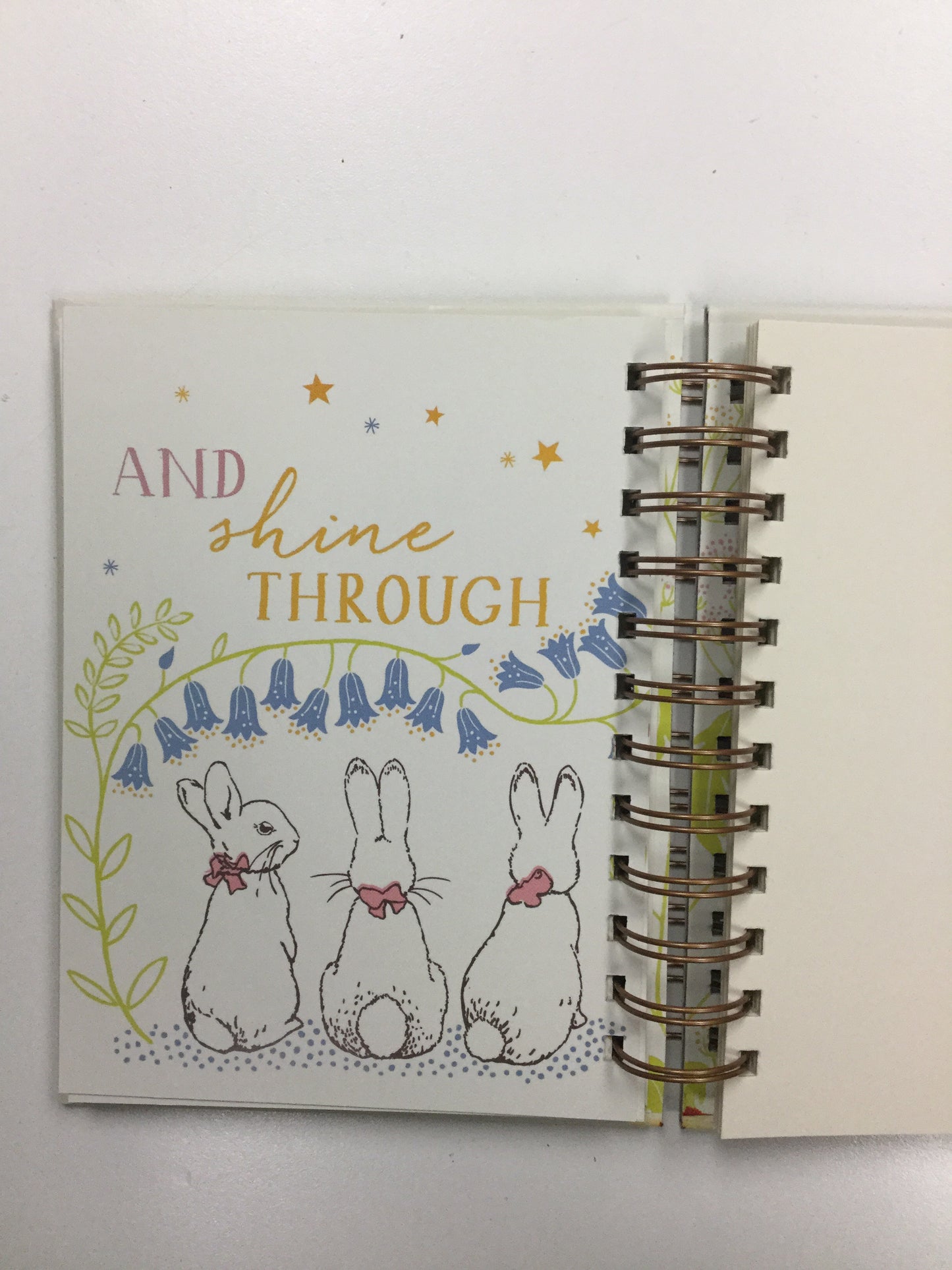 Love from Peter Rabbit-Red Barn Collections