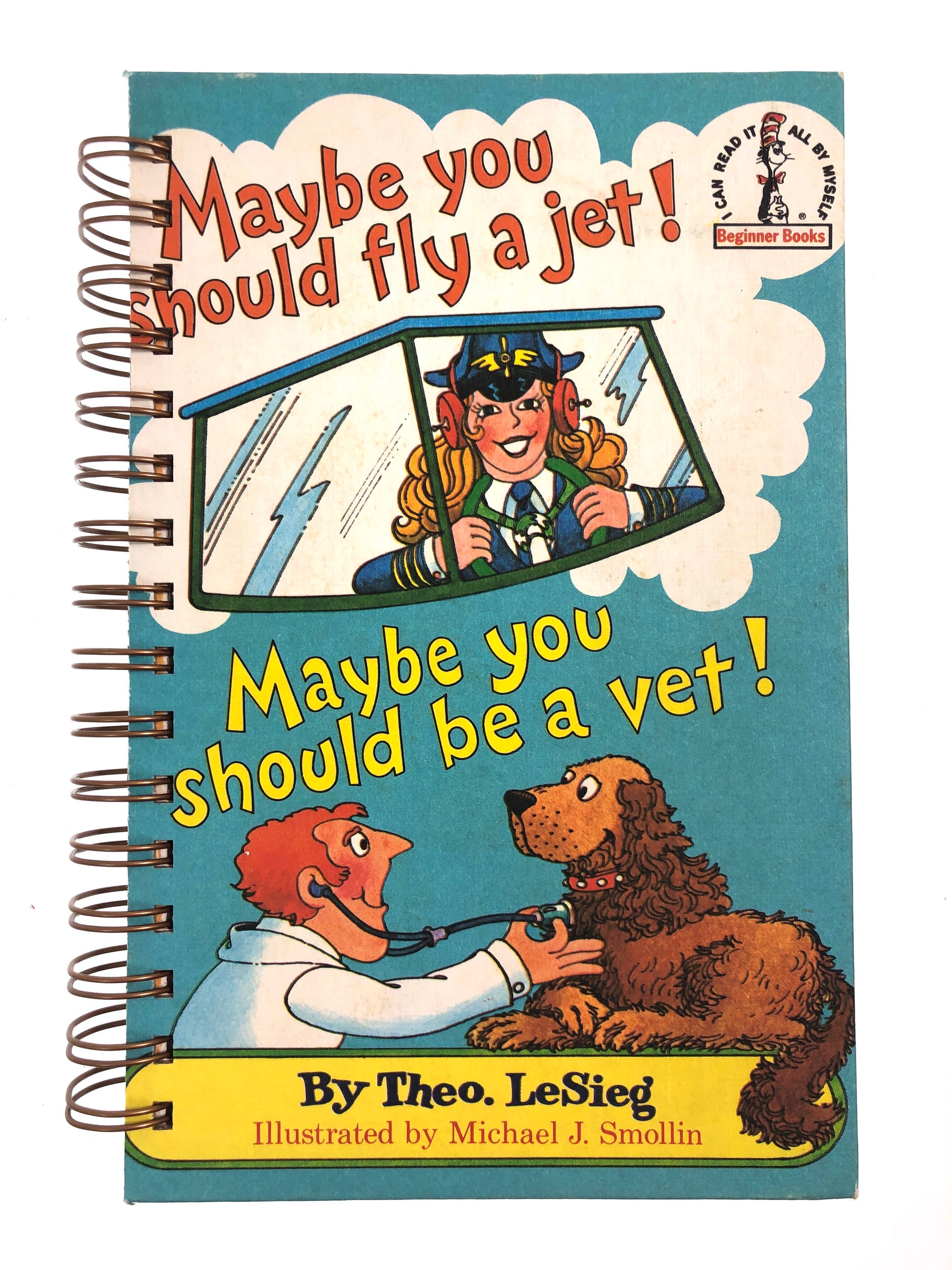 Maybe you should fly a jet! Maybe you should be a vet!-Red Barn Collections