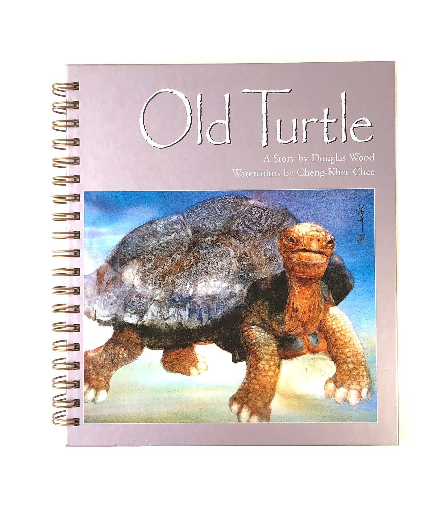 Old Turtle – 1992 Burlington, VT Library Edition-Red Barn Collections