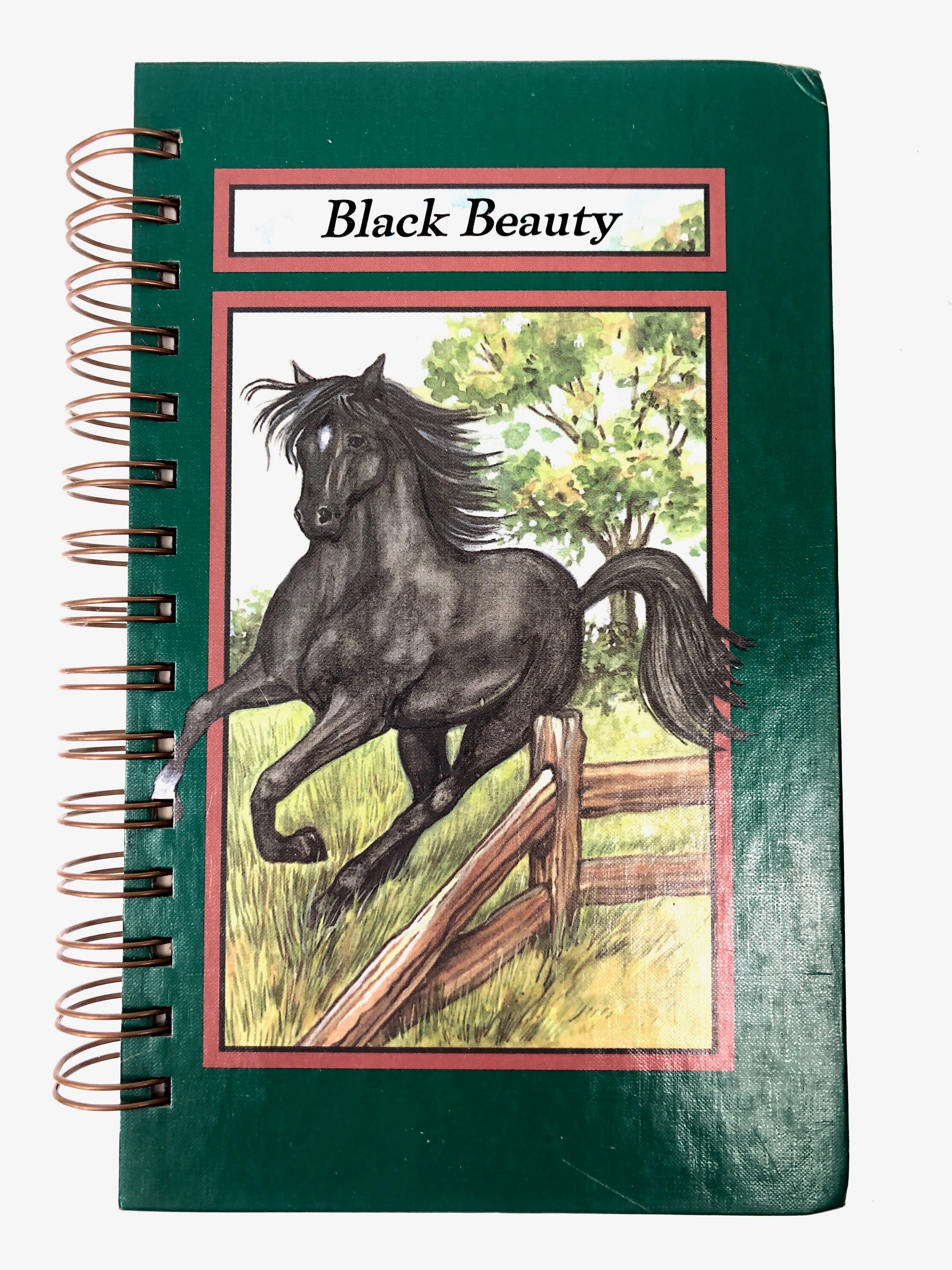 Black Beauty-Red Barn Collections