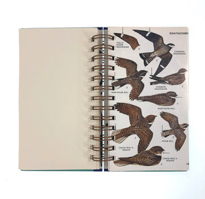 A Field Guide to the Birds-Red Barn Collections