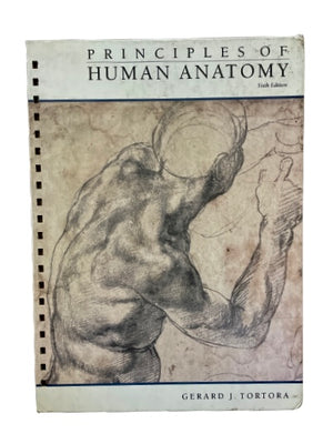 Human Anatomy-Red Barn Collections