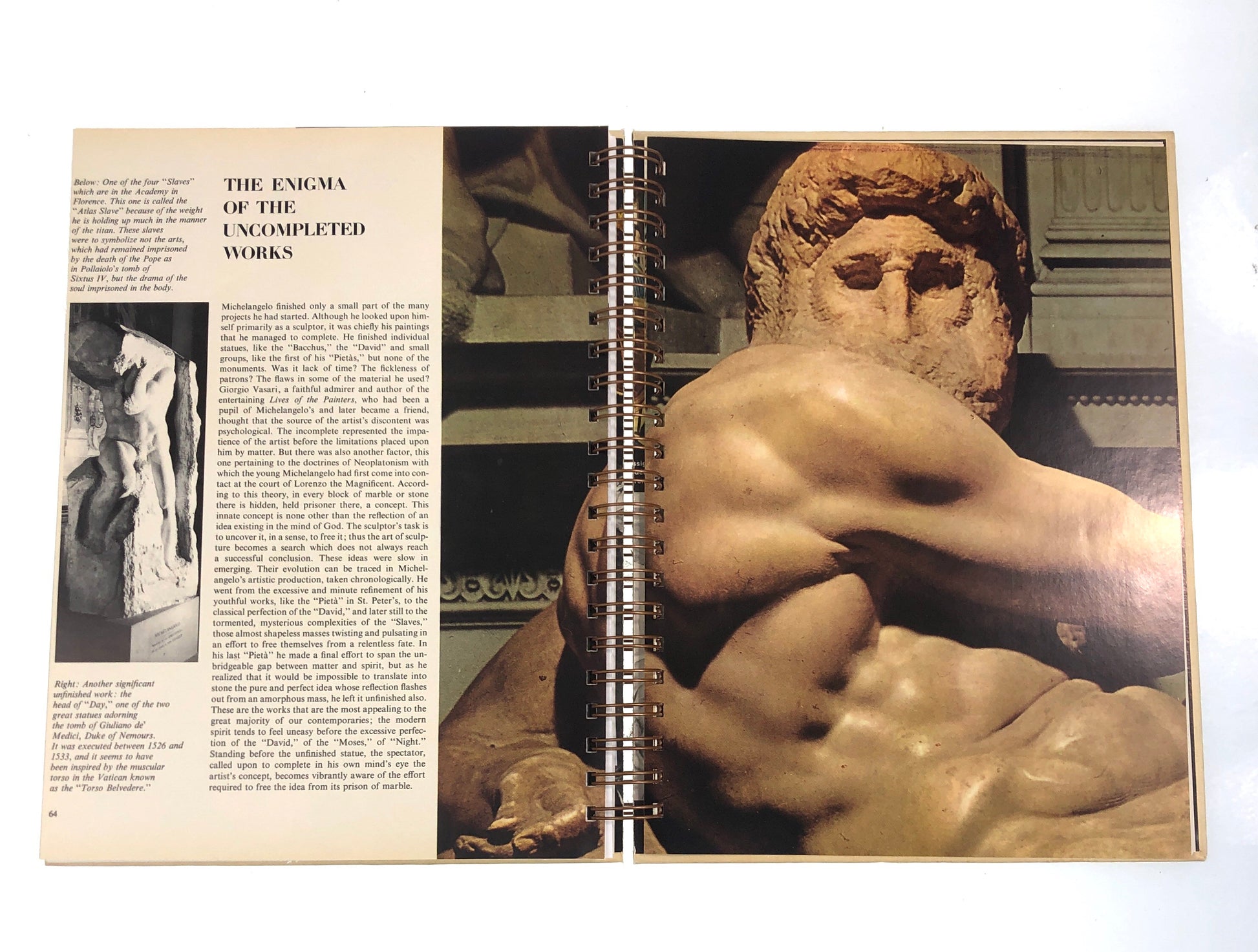 The Life and Times of Michelangelo Artist's Sketchbook-Red Barn Collections