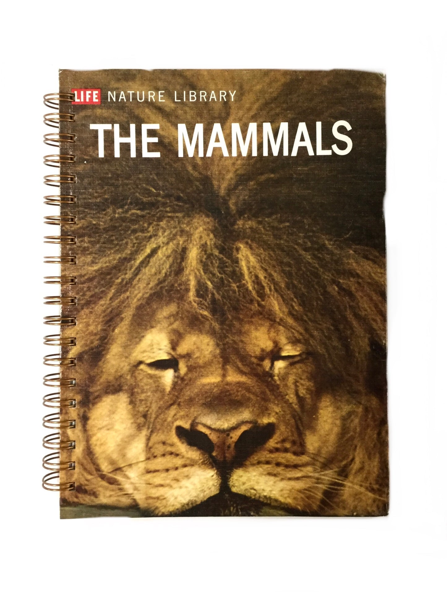 The Mammals: Time Life-Red Barn Collections