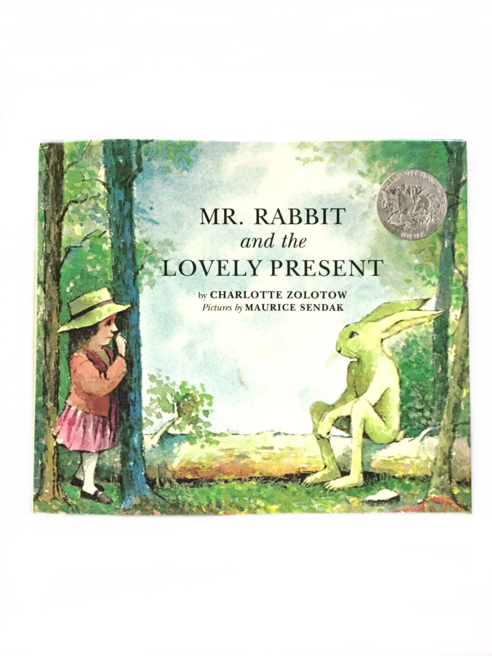 Mr Rabbit and the Lovely President-Red Barn Collections